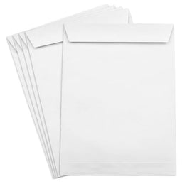 Ibis, Envelope, White, 12 x 10, Single Envelope