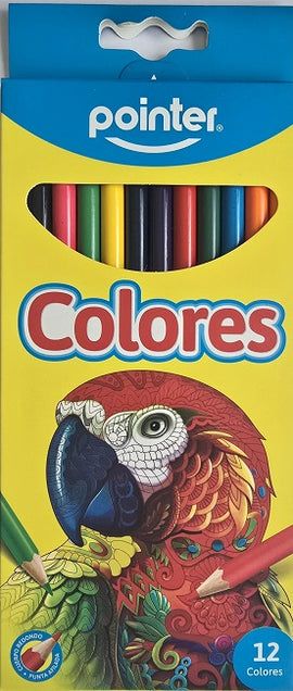Pointer Coloured Pencils, 12count