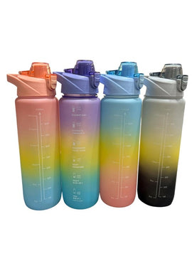 30oz Ombre Water Reusable Water Bottle with Handle & Strap, Assorted Colours