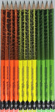 Acmeliae, 2HB Pencil, Graphite Triangular, Assorted Patterns, 12 Count