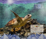 Winners, Drawing Book, 12 x 10 in, 12 Sheets, Assorted Patterns (Mermaid, Penguins, Dinosaurs)