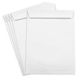 Ibis, Envelope, White, 12 x 10, Single Envelope