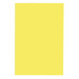 Bristol Board, Canary, 22 1/2 X 28 1/2