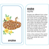 School Zone Animals of All Kinds Flash Cards Ages 4-Up