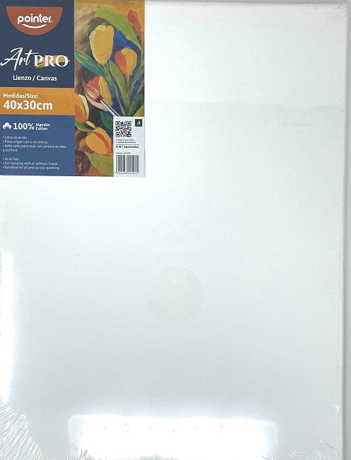 Pointer Art Pro Canvas, White, 40 x 30cm