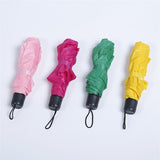 Small Folding Umbrella, Assorted Solid Colours