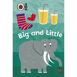 Early Learning, Big and Little