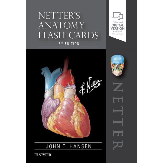 Netter Anatomy Flash Cards, 5ed, BY Netter