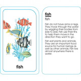 School Zone Animals of All Kinds Flash Cards Ages 4-Up