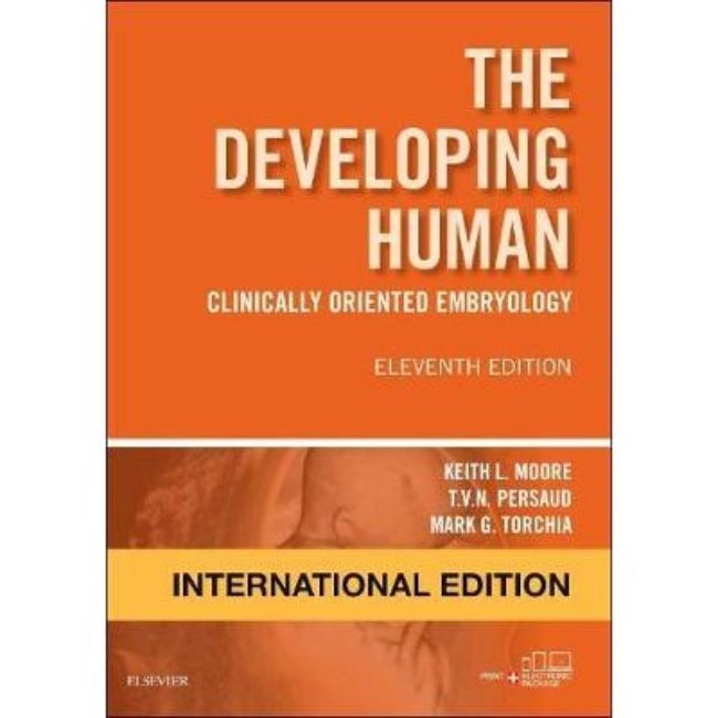 The Developing Human, International Edition, 11ed BY Moore, Persaud, T ...