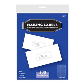 BAZIC White Address Labels,  1" X 2 5/8" (300/Pack)