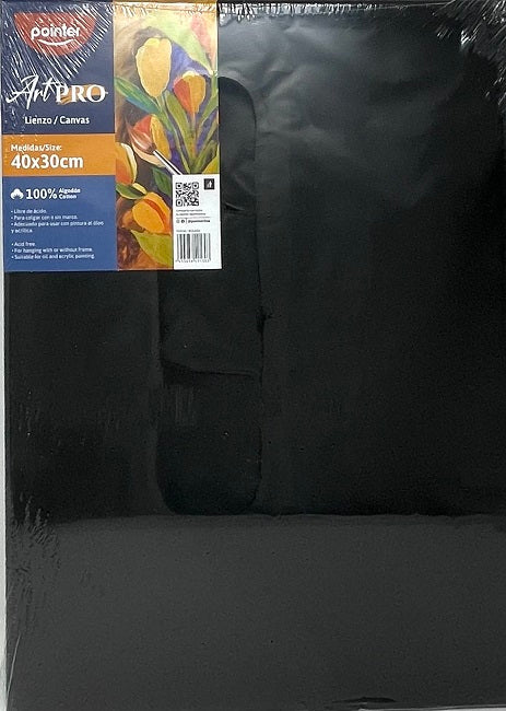 Pointer Art Pro Canvas, Black, 40 x 30cm