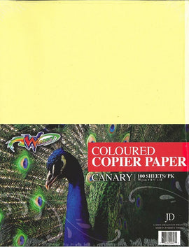 Coloured Copy Paper, Letter Size 8.5x11, 100 sheets per pack, YELLOW