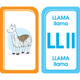 School Zone Bilingual Alphabet Flash Cards Ages 5-Up